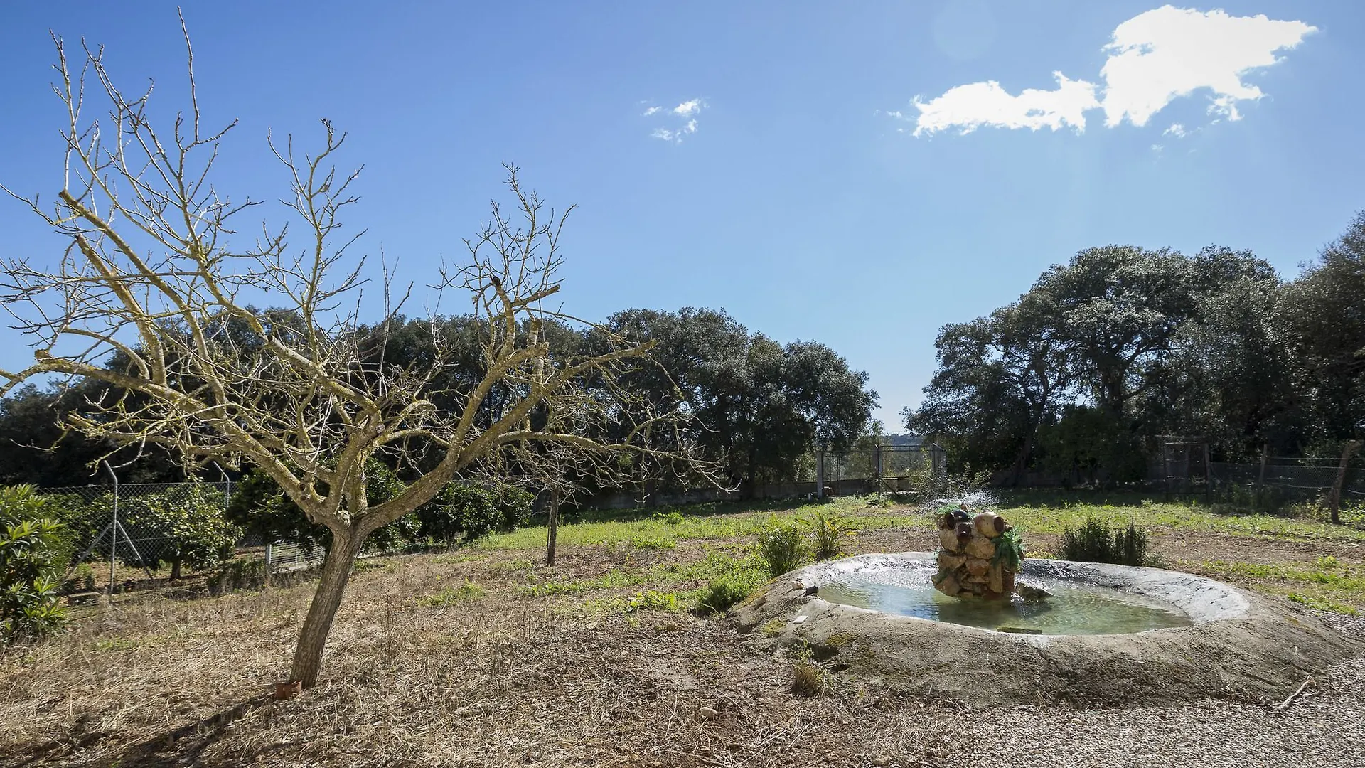 Villa Ca Na Flores Llubi