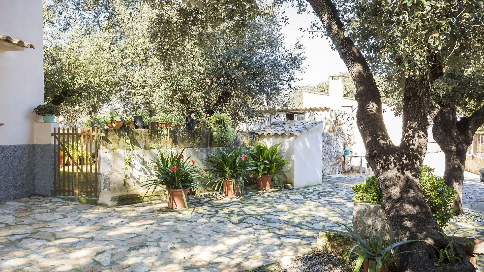 Villa Ca Na Flores Llubi